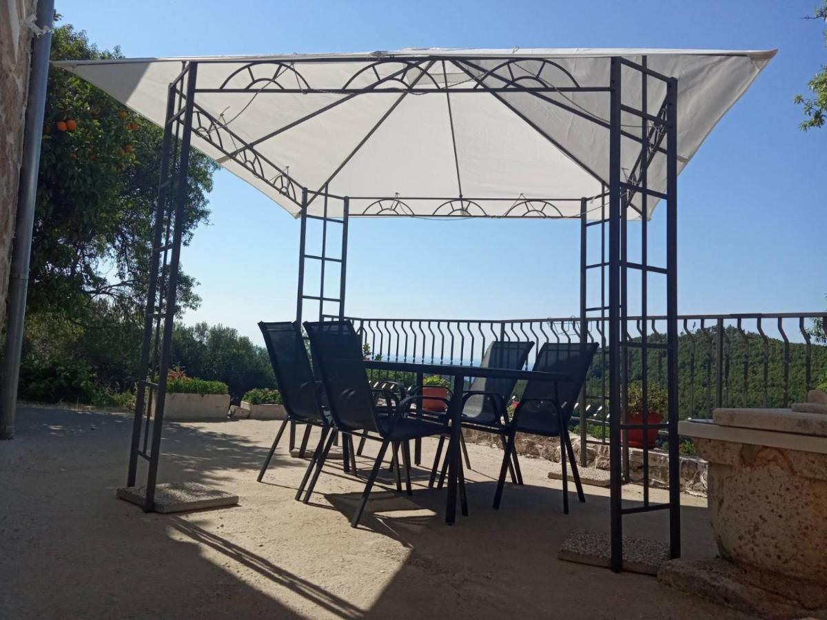 Holiday Apartments Maslina Paho Babino Polje Kültér fotó