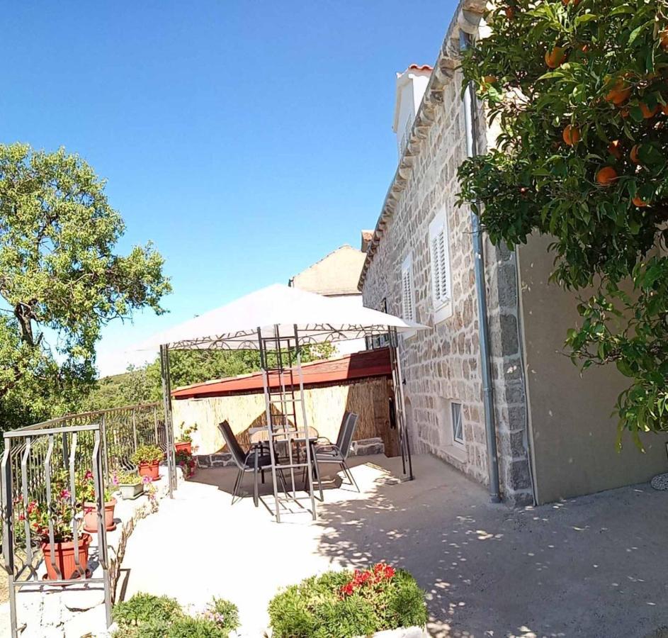 Holiday Apartments Maslina Paho Babino Polje Kültér fotó