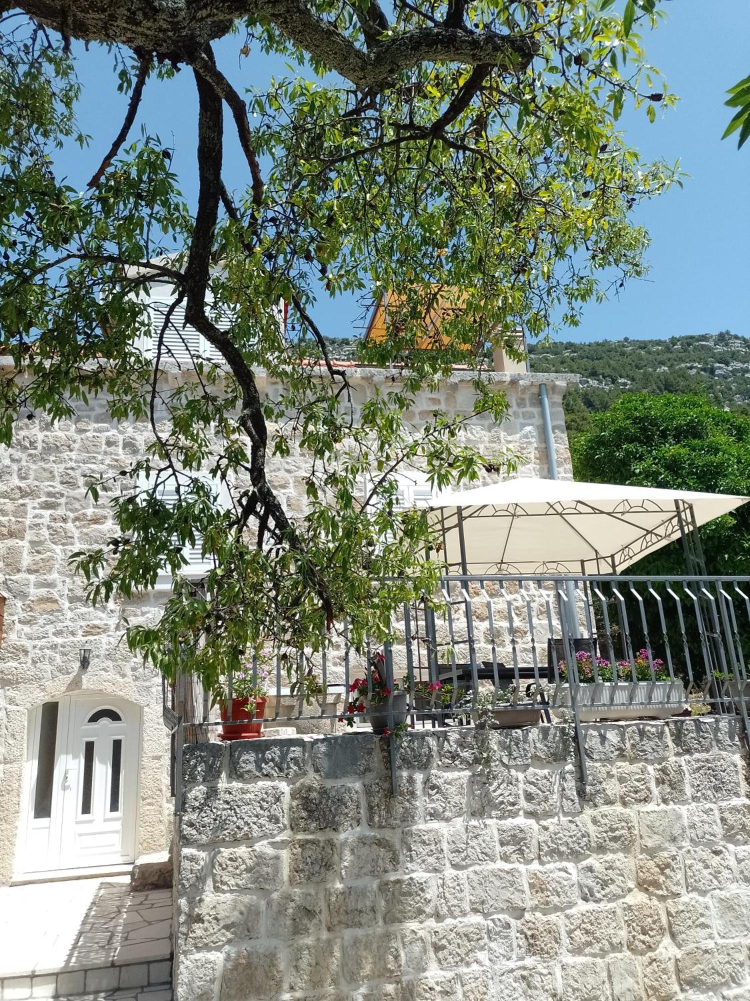 Holiday Apartments Maslina Paho Babino Polje Kültér fotó