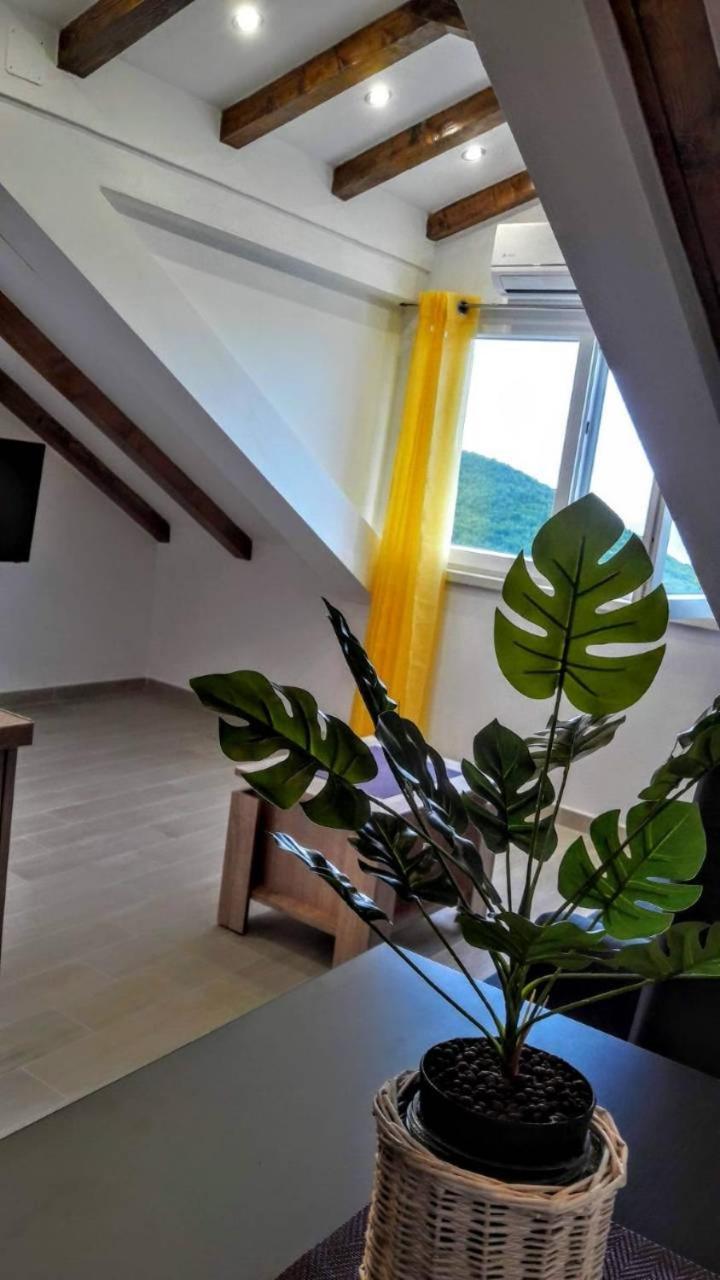 Holiday Apartments Maslina Paho Babino Polje Kültér fotó